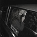 CVMILLLE Albums: songs, discography, biography, and listening guide ...